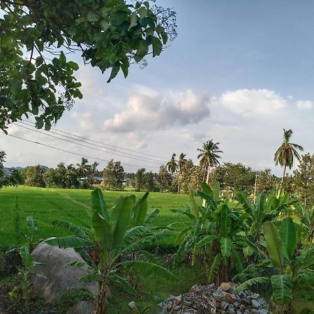 Gopi Plantation Homestay 亨比 外观 照片