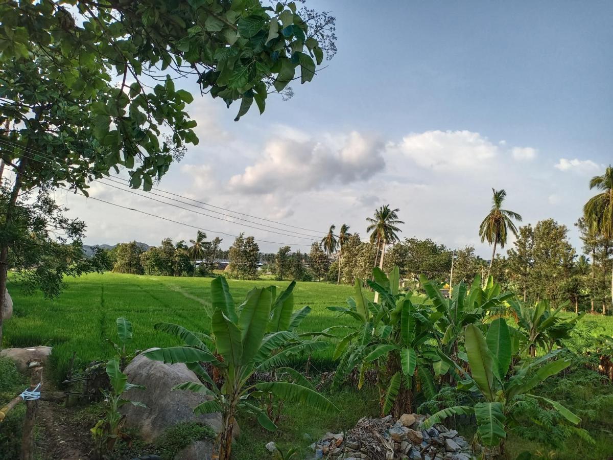 Gopi Plantation Homestay 亨比 外观 照片