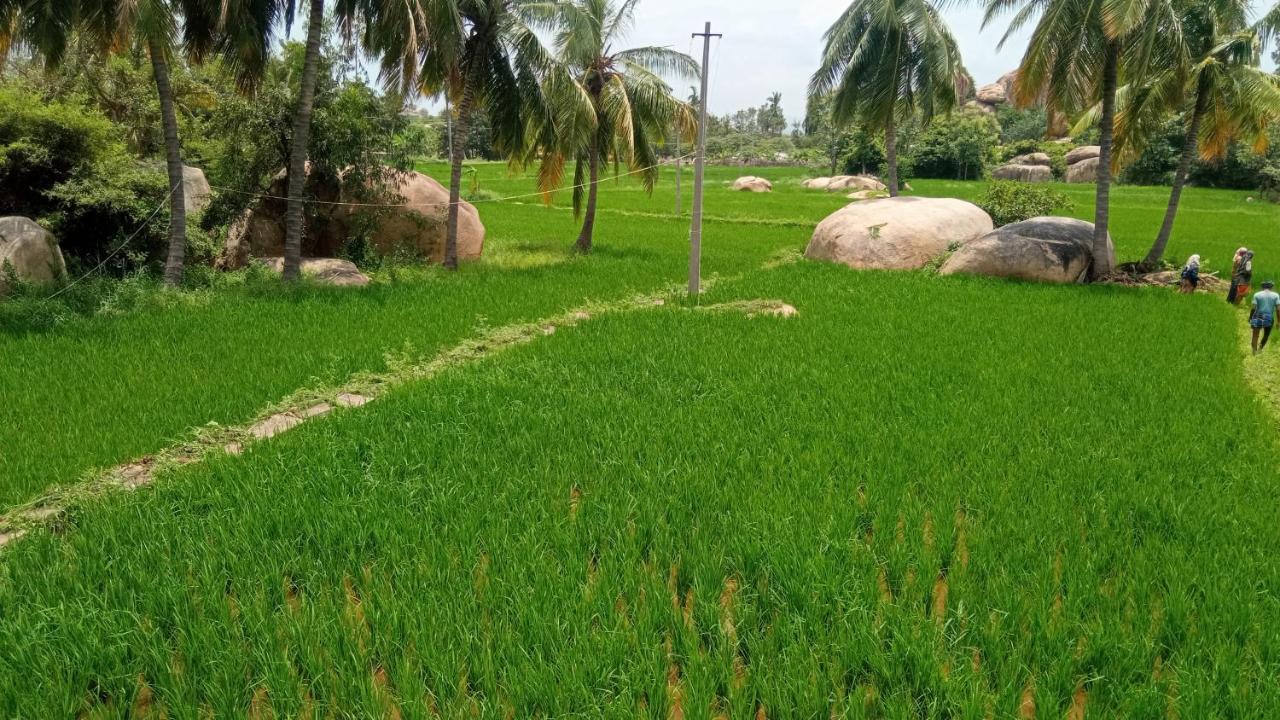 Gopi Plantation Homestay 亨比 外观 照片