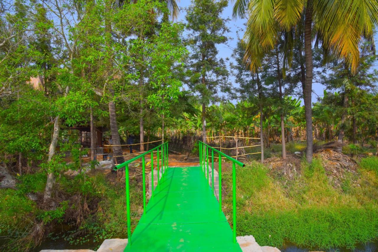 Gopi Plantation Homestay 亨比 外观 照片